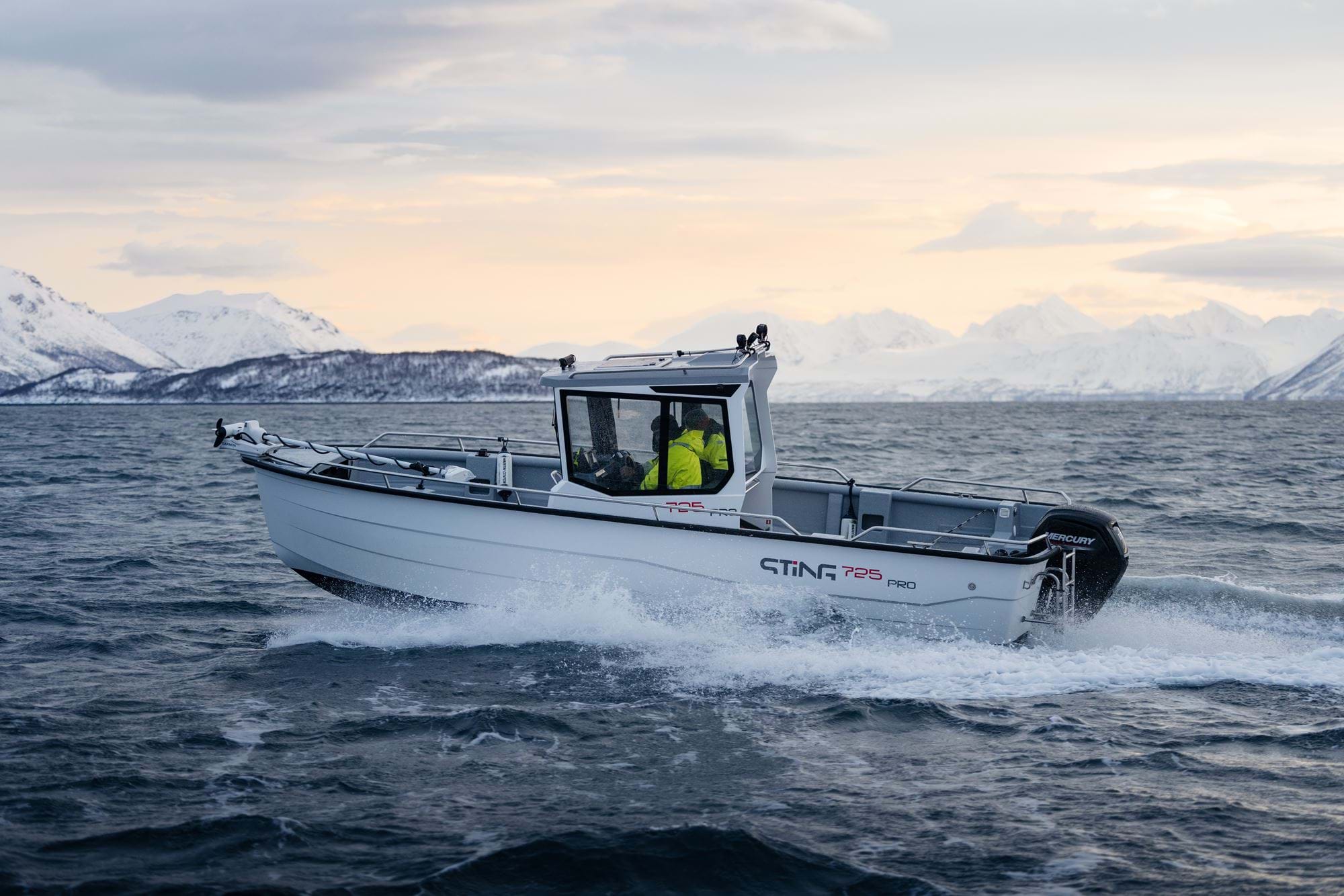 Sting 725 Pro Cabin