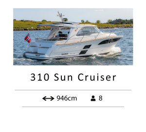 310 Sun Cruiser