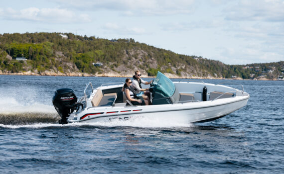 Sting 580 S (3)