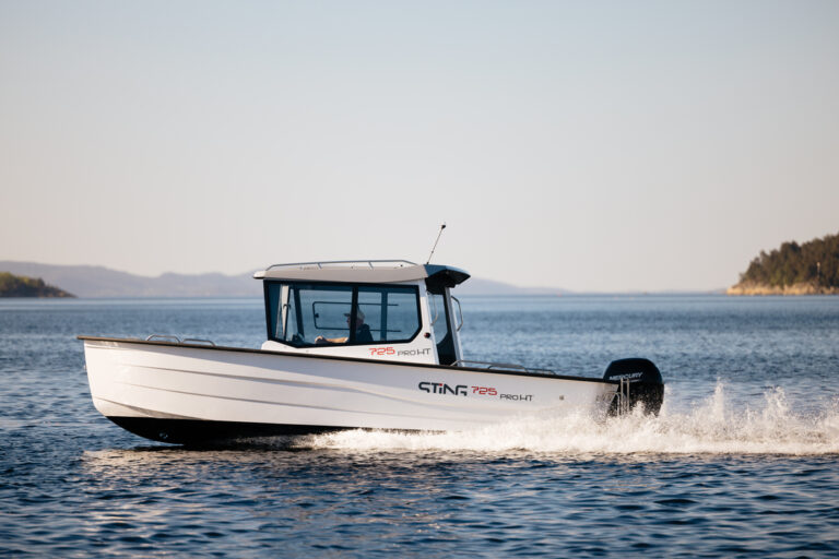 Sting 725 PRO HT (1)