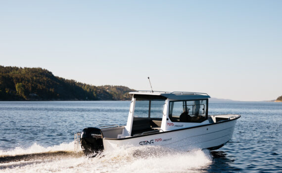 Sting 725 PRO HT (25)